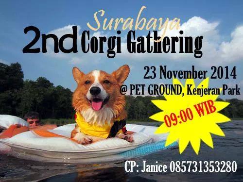 Surabaya 2nd Corgi Gathering
