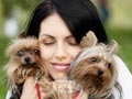 10 Tanda Kamu Dog Lover Sejati