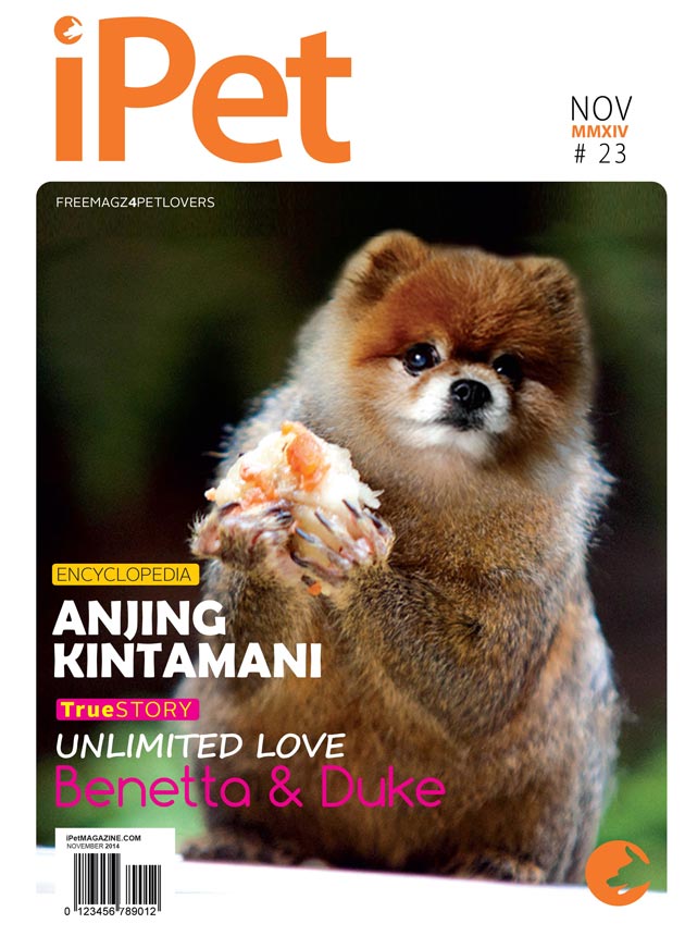Indeks Edisi 23 iPet Magazine