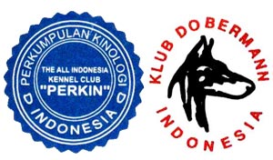 PERKIN & KDI Jatim Back To Back
