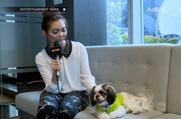 Rina Nose & Dora Shih Tzu Kesayangannya (Video)