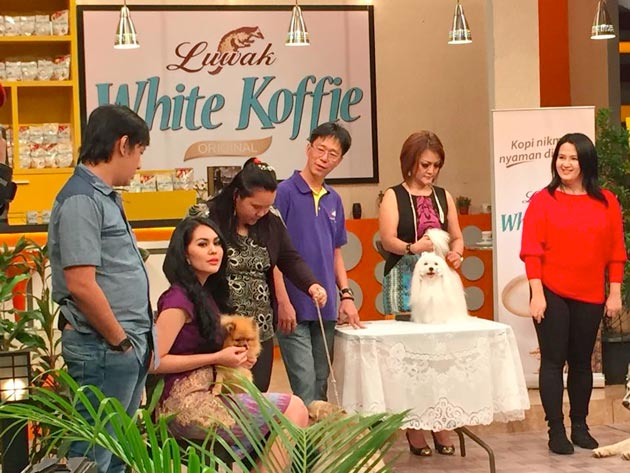 Aksi Dog Lovers Di Obrolan Santai (OBRAS) Trans7