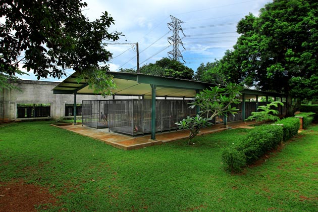 Lowongan Kerja : Dibutuhkan Kennel Manager