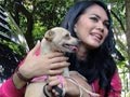 Kartika Putri : Anjing Adalah Pacar 