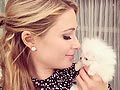 Paris Hilton Beli Anjing Mini Pom Rp 318 Juta
