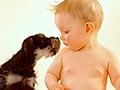 Video Interaksi Bayi Dengan Anjing