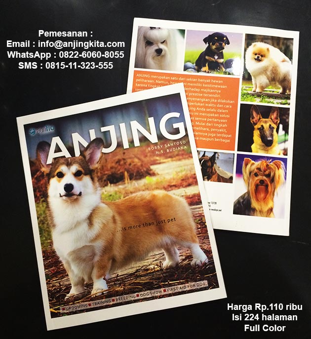 Buku Tentang Anjing 