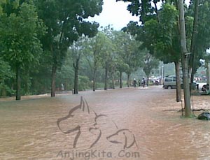 Tidak Posting Selama Musibah Banjir