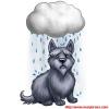 Penyakit Pada Anjing Pasca Banjir