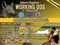 Jakarta Dogshow By PERKIN JAYA : Working Dog 