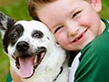 7 Alasan Anak Anda Butuh Anjing Sebagai Teman