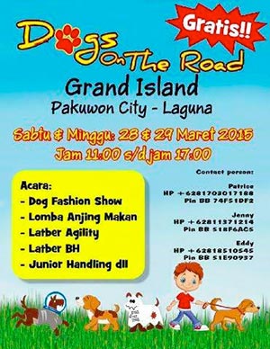 Dog On The Road Gratis (Surabaya)