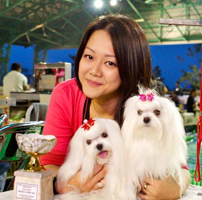 Shirley Wibisono - LiL SnoWhite Maltese