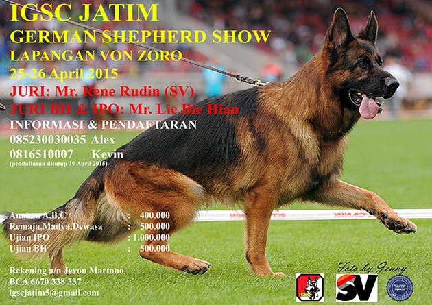Pameran Anjing Herder & Ujian BH IPO Jatim