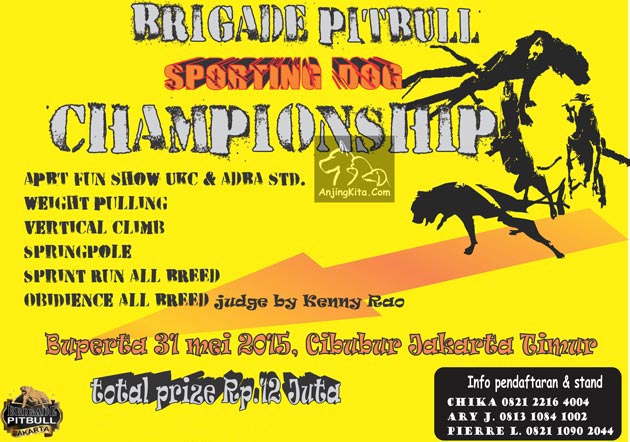 Brigade Pitbull Sporting Dog Championship