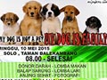 Dog Lover Gath: My Dog Is Not A Pet, My Dog My Family