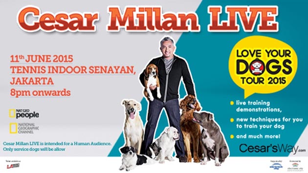 Cesar Millan Live � Love Your Dogs Tour 2015