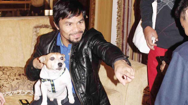 Anjing Kesayangan Dimasak Buat Makan Sekeluarga