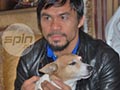 Anjing Kesayangan Dimasak Buat Makan Sekeluarga