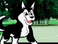 Jalan Bersama Husky - Jogjakarta
