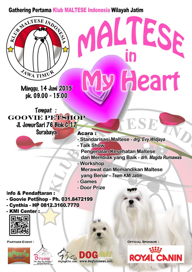 Dog Gathering Klub Maltese Jawa Timur