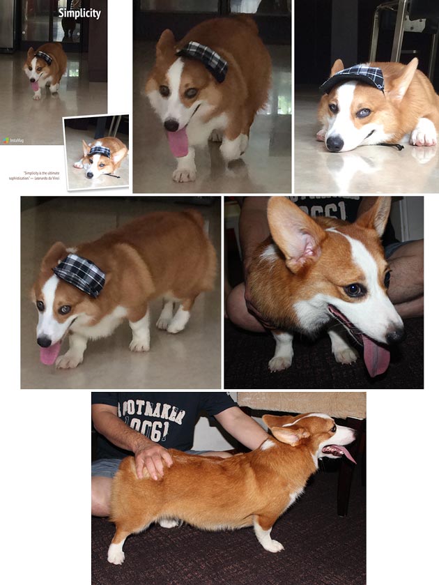 Pejantan Corgi : Lowriders Ocean Pegasus