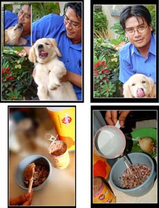 Me and Gerry Lee In Love Story