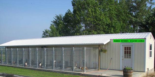 Membangun Kennel (Kandang) Menggunakan Container