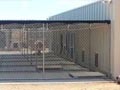 Membangun Kennel (Kandang) Menggunakan Container