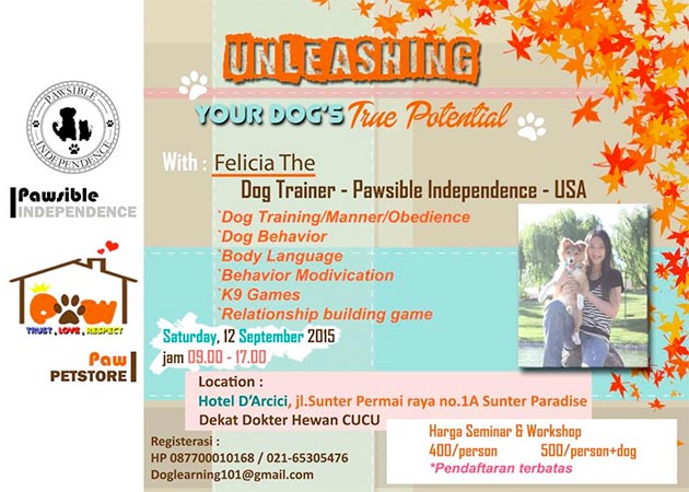 Ingin Anjing Anda Nurut?