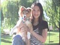 Ingin Anjing Anda Nurut?