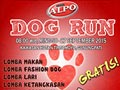 ALPO DOG RUN - Kota Semarang