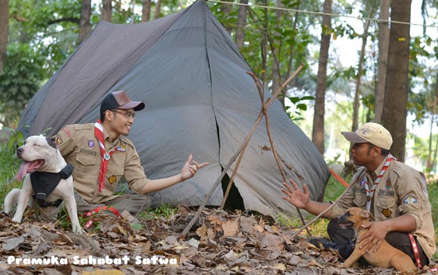 Scout Dog Peace Camp