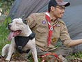 Scout Dog Peace Camp