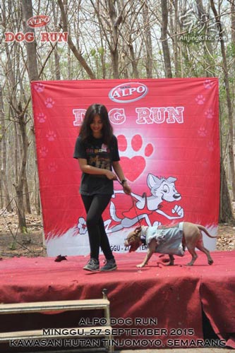 Alpo Dog Run : Momen Hangat Anjing & Manusia