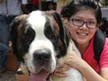 Alpo Dog Run : Momen Hangat Anjing & Manusia