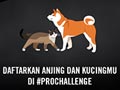 Mau Rp.2 Juta Dari #PROCHALLENGE ?