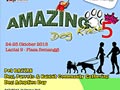 Amazing Dog Race 5 - Fit Your Dog
