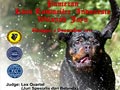 Pameran Rottweiler Jakarta