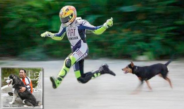 Tips Jika Dikejar Anjing Ala Yanuar Pesso