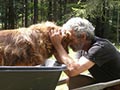 Mengorbankan Hidup Untuk Anjing Terlantar