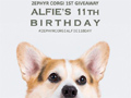 Alfie's 11th Birthday #‎giveaway‬ Berhadiah!