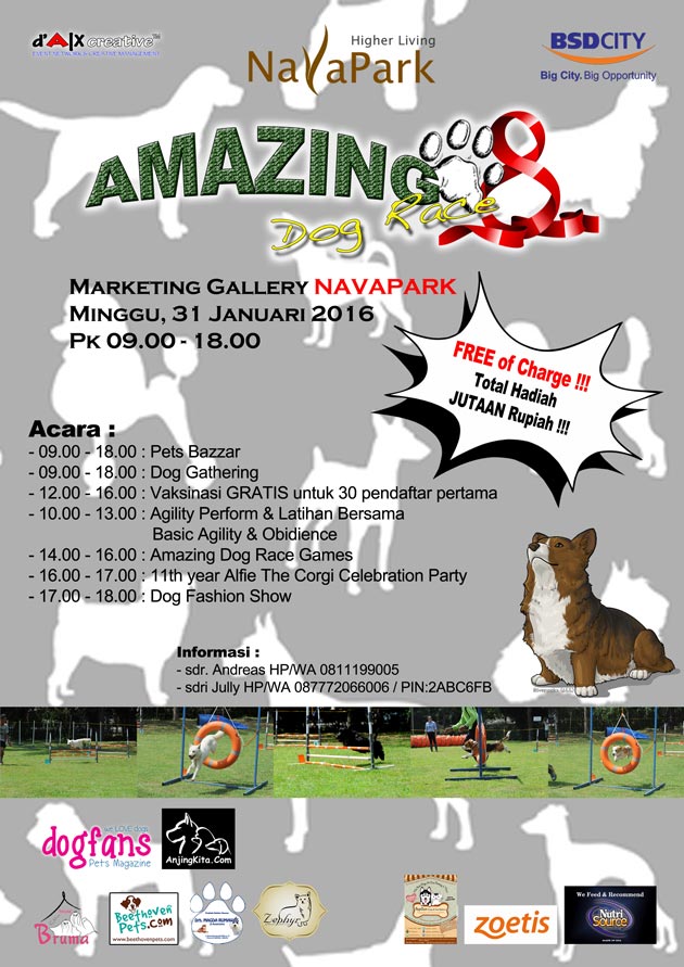 Amazing Dog Race 8 - Navapark BSD City