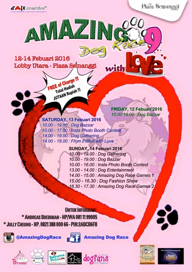AMAZING Dog Race 9 With Love