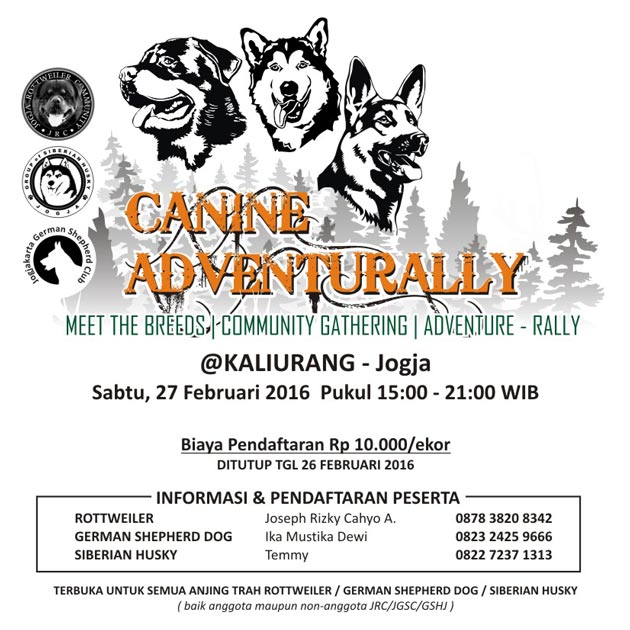 Canine Adventurally - Jogjakarta