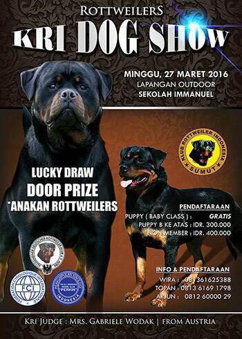 Pameran Rottweiler Medan 2016