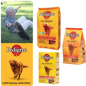 Mengapa Anjing perlu dilatih?