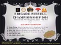 Brigade Pitbull Championship 2016