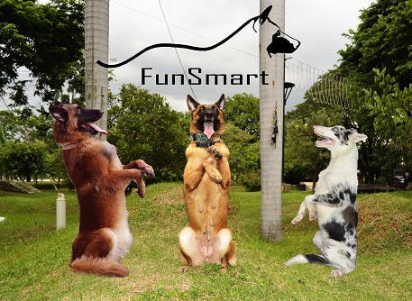 10 Tips Pelatihan Anjing Dari FunSmart