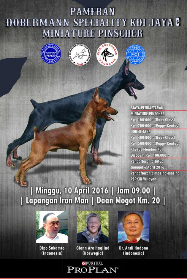 Indonesian Dobermann Club Jakarta and Miniature Pinscher Show